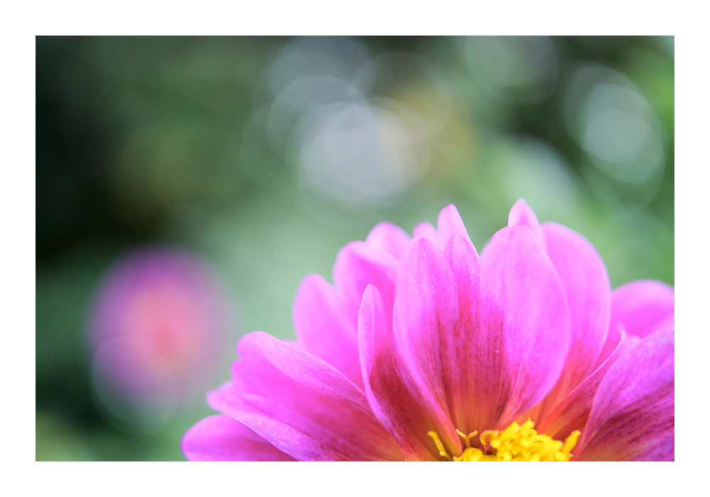 Tamron 35mm F/2.8 DI III OSD 1/2 Macro Lens Sony E Mount